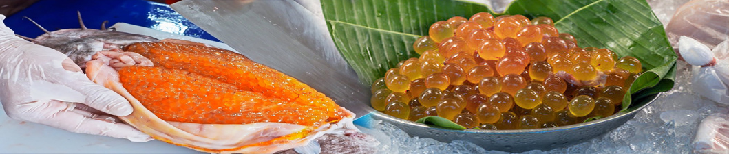 Premium reef fish and demersal seafood selection