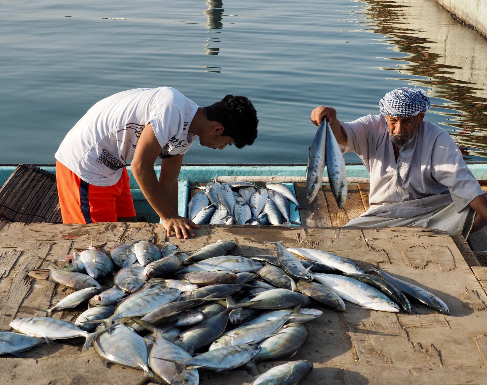 Catch checking at Arabian Sea landing point