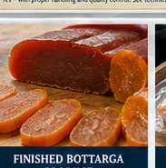 Bottarga di Muggine Commercial Specimen Card