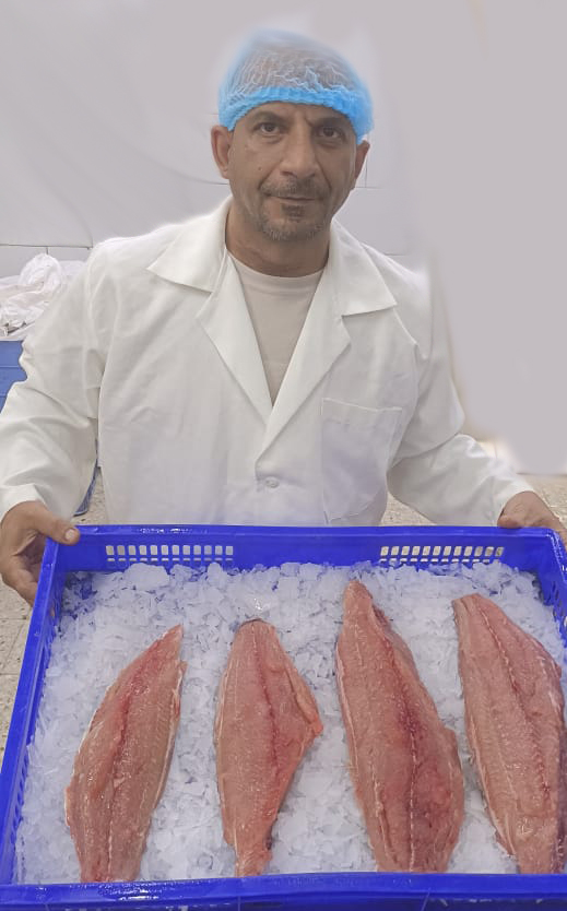Frozen and processed seafood product presentation