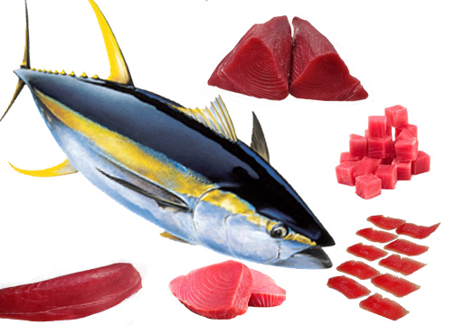 Yellowfin tuna and large pelagic tuna product category