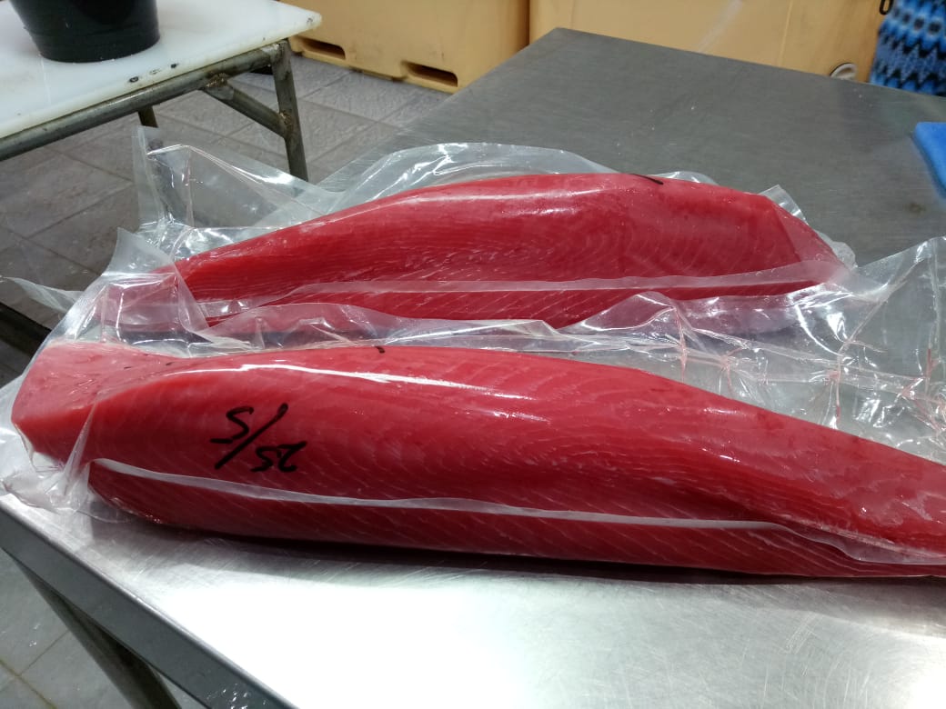 Vacuum-packed premium yellowfin tuna loin