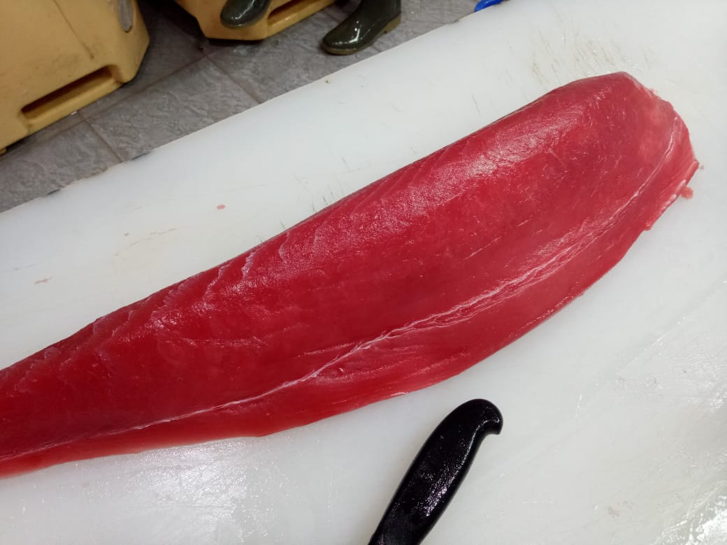 Tuna Loin fresh and deep red color