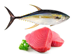 Yellowfin tuna steak portions for food-service and retail buyers